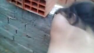 पिगटेल असलेली व्होरिश गोरे कोंबडी तिच्या मित्राला डोके देते